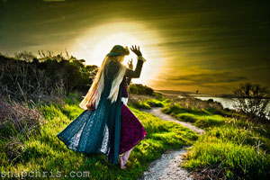 强力性能稳定的DDOS网页端平台